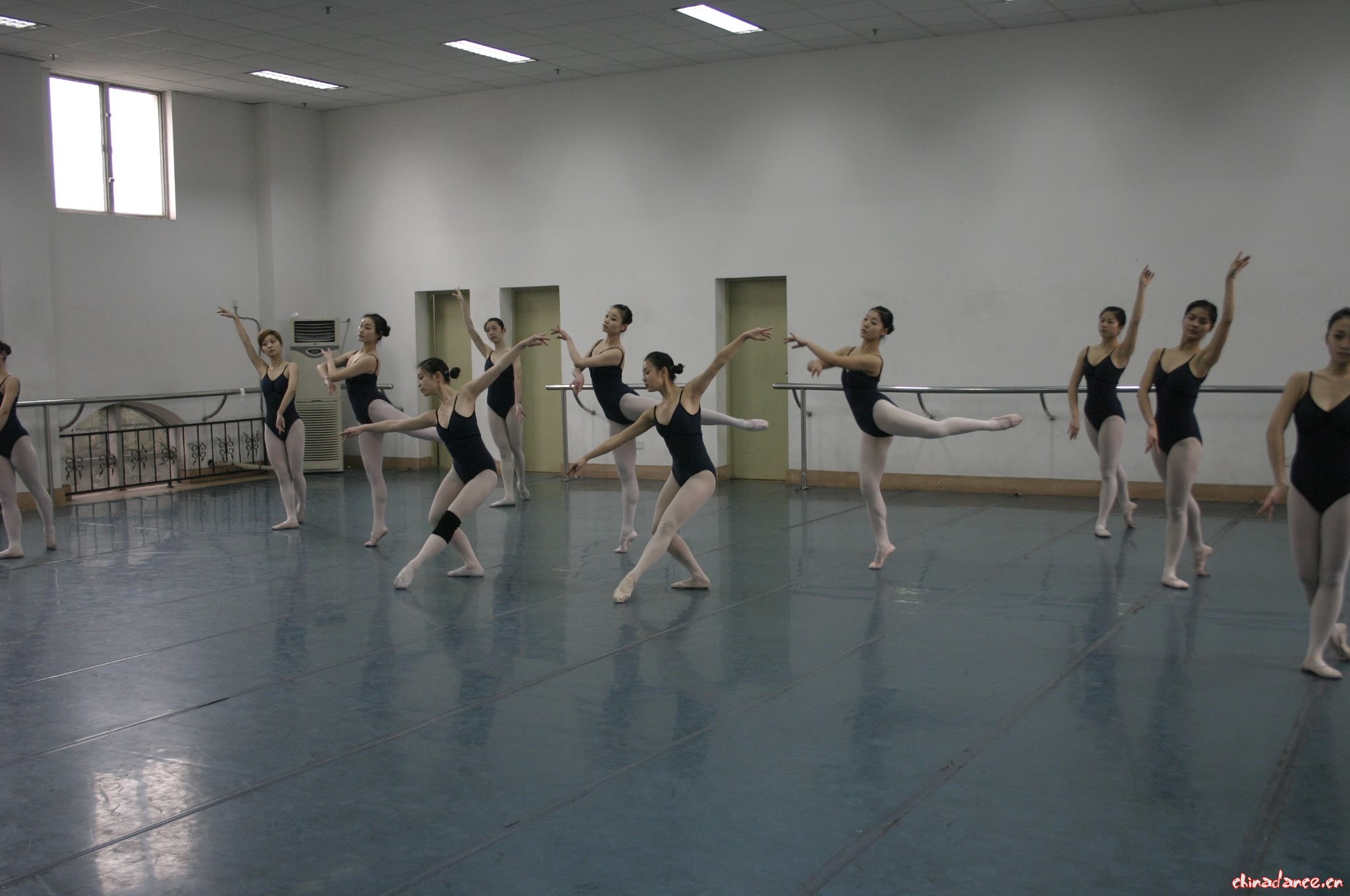 金芭蕾舞蹈官网—专注少儿芭蕾舞培训