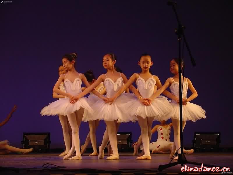 少儿舞蹈 — 上海徐汇区青少年活动中心 01.jpg