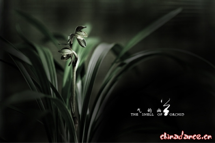 气韵幽兰.jpg