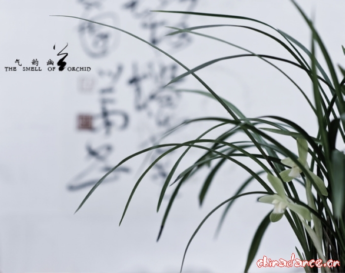 气韵幽兰7.jpg
