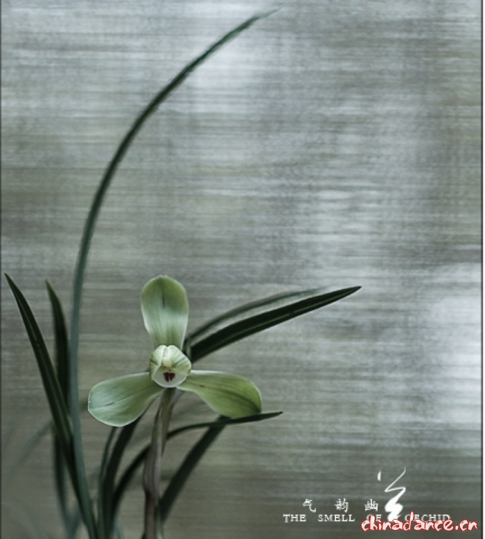 气韵幽兰6.jpg