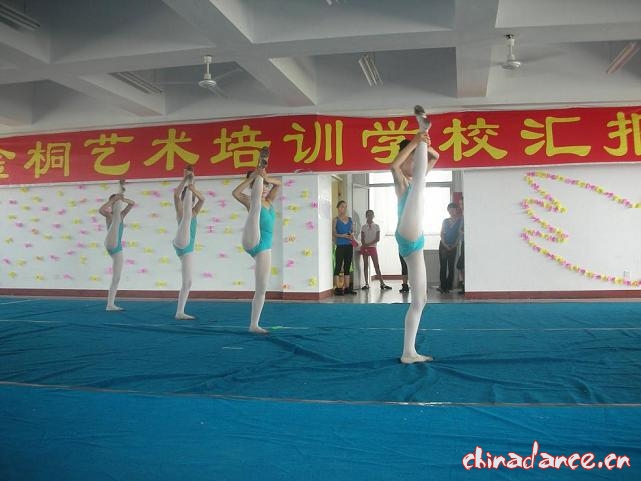 09072102藁城市金桐艺术培训学校08年暑假汇报演出 少儿舞蹈培训02.jpg