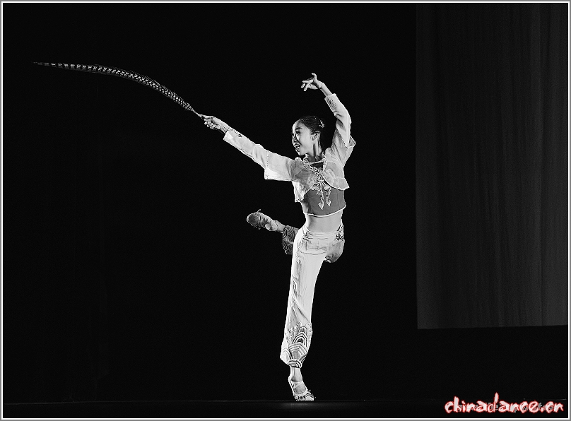 北京11届舞蹈比赛 (1405)fpt.jpg
