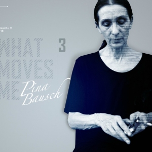 皮娜回忆录 What moves me