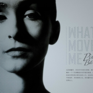 皮娜回忆录 What moves me