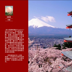 从几个角度观察芭蕾艺术在日本