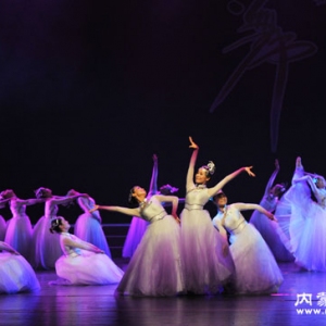 鄂托克前旗乌兰牧骑《马兰花开》获金奖