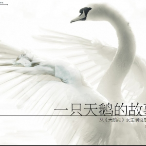 一只天鹅的故事 从《天鹅湖》女主演设定谈开