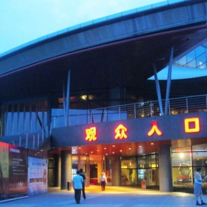 第十届“桃李杯”-----冒死偷拍海外组半决赛