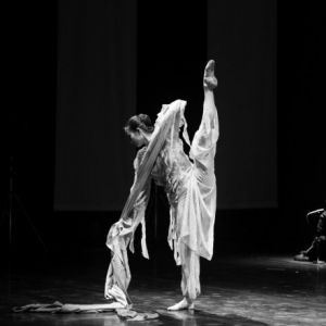 亚彬和她的朋友们三年展（排空高清作品）