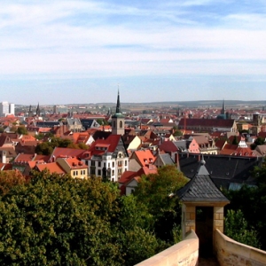 曹诚渊 雷动天下于埃尔福特市