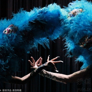 杨丽萍收官作《孔雀》如梦似幻惊叹 超高清组图