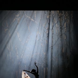 杨丽萍收官之作《孔雀》北京首演