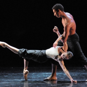 《春之祭》聆听一场舞蹈美 2012国家大剧院舞蹈节演出导赏