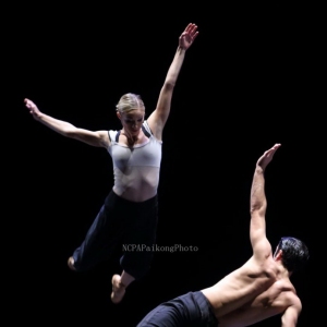 组图 意大利阿岱芭蕾舞团《春之祭》排空作品