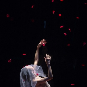 【视频】上海大剧院版现代芭蕾《简·爱》宣传片