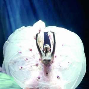 2012国家大剧院舞蹈节圆满落幕