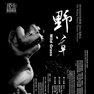 专访王媛媛  现代舞是思考 不是任何一种技术