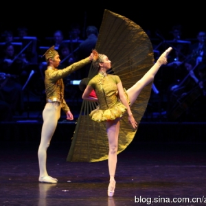 中国中芭版《胡桃夹子》精彩剧照 二