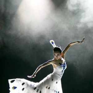 孔雀公主杨丽萍：我已进入生命的冬天