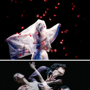 现代芭蕾舞剧《简·爱》2月6号上海大剧院上演