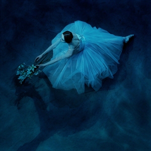 新年特辑美图 高清唯美芭蕾