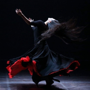 颜荷舞蹈剧场《水语》3月国家大剧院上演