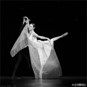 【舞蹈名言欣赏】舞网新年特快专辑