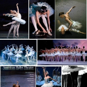 ABT2000《天鹅湖》台前幕后的精美剧照