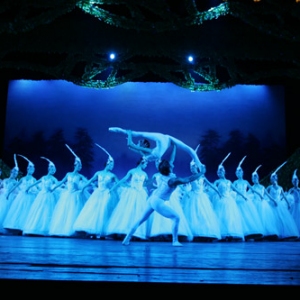 杂技剧《天鹅湖》中国的艺术精品 剧照