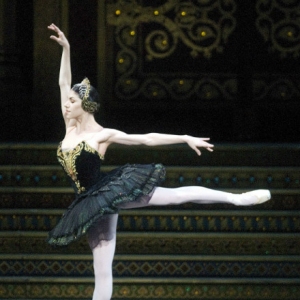 【ABT的大明星】帕洛玛欠雷拉