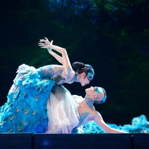 [视频] 杨丽萍舞剧《孔雀》全球巡演宣传片