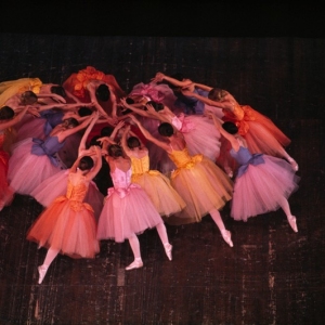 一张老照片 一群芭蕾舞者