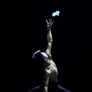 上海市舞蹈新人新作展演《翎恋》