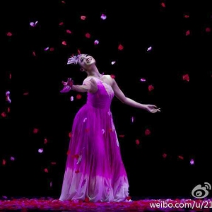 上海舞蹈新人新作《落花雨》组图