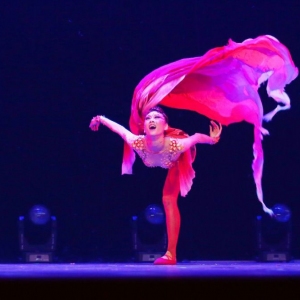 第十届全国舞蹈比赛颁奖晚会 - 获奖节目