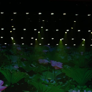 第十三届北京舞蹈大赛完美落幕 图文