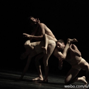 巴西圣保罗城市芭蕾舞团演出剧照