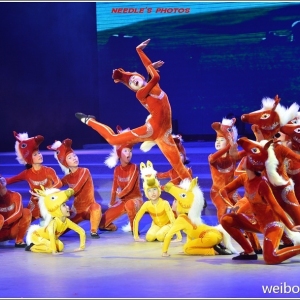 2013年全国城区少年宫系统舞蹈展演组图