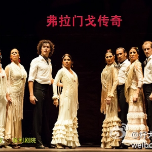 西班牙克里斯蒂娜欧约斯舞蹈团《弗拉门戈传奇》绝美高清剧照