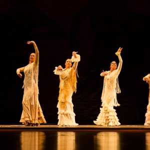 沸腾的节奏《弗拉门戈传奇》克里斯蒂娜欧约斯舞蹈团