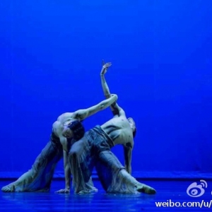 【第六届华东专业舞蹈比赛】上海歌舞团选送作品《蒲公英》