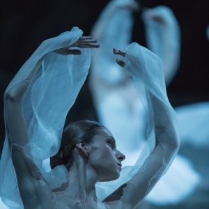 马林斯基剧院2013年《舞姬》第三幕群舞组图