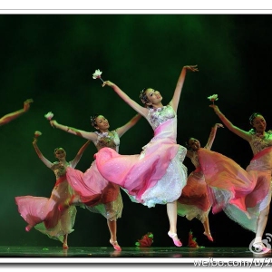 2014上海群文舞蹈新人新作展评展演之《海上玉兰》剧照