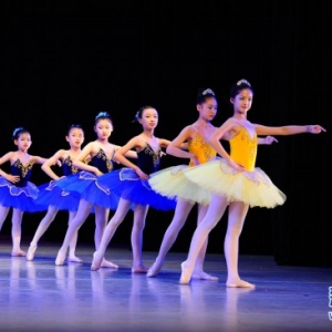 桃李芬芳全国少儿舞蹈展演北京舞蹈学院举行 组图