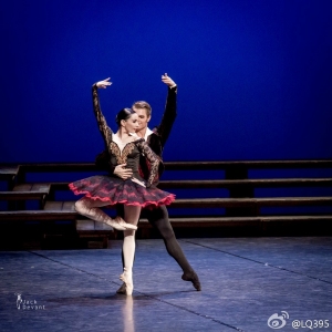 Kenneth and Friends Gala 2014“堂吉诃德”剧照