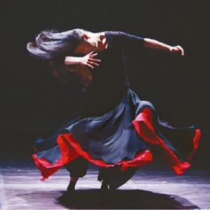 对当代舞蹈艺术工作者生存的思考