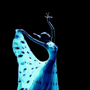 杨丽萍<云南映象>十周年 全新升级版登国家大剧院