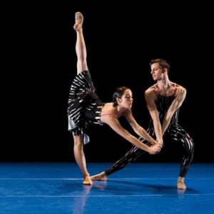 现代舞 只谈观众不谈市场