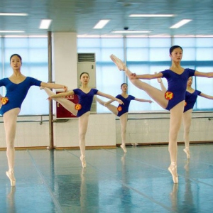 关于舞蹈柔韧性的修练—软开度训练的经验之谈